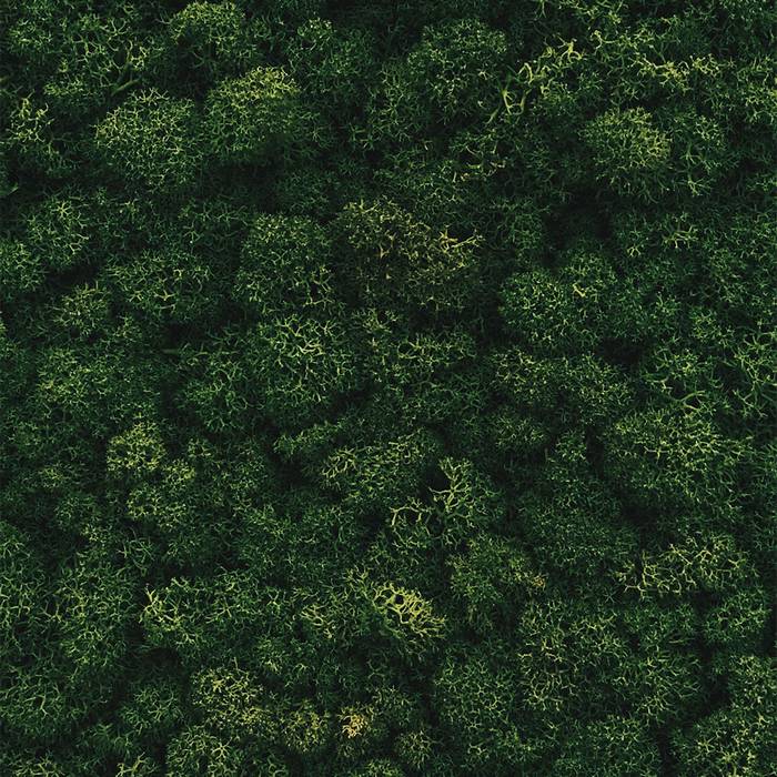 Embracing Sustainability: Transforming Your Home with Eco-Friendly Appliances